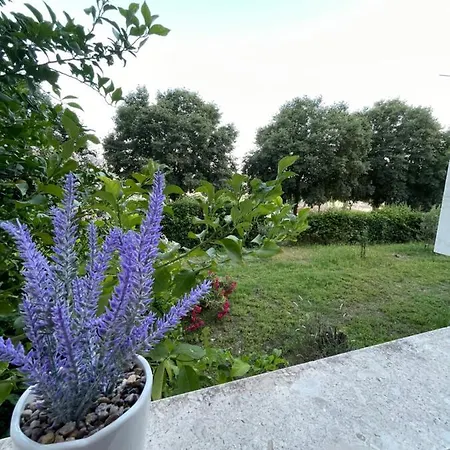 דירה Owl - Modern Spacious For 4 - 5min To Centar *