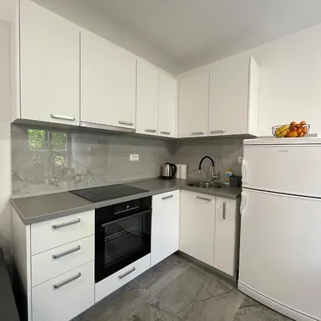 Owl - Modern Spacious For 4 - 5min To Centar דירה