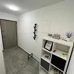 Owl *