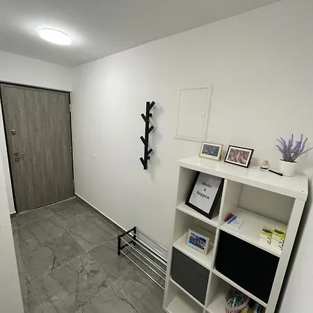 Owl - Modern Spacious For 4 - 5min To Centar *
